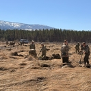 Риддерде 20 мың көшет егілді